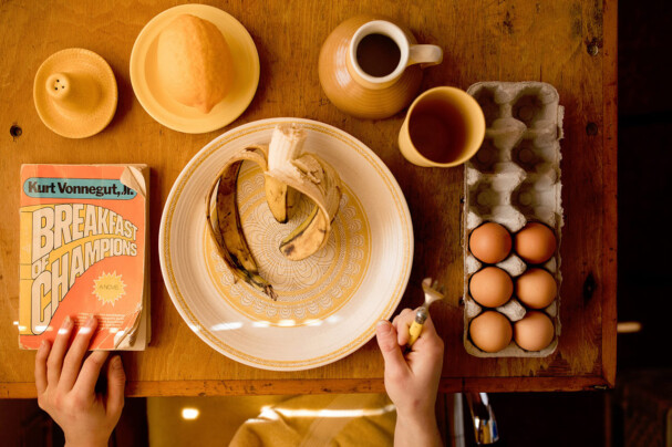 Santin - Abordagem Nutricional